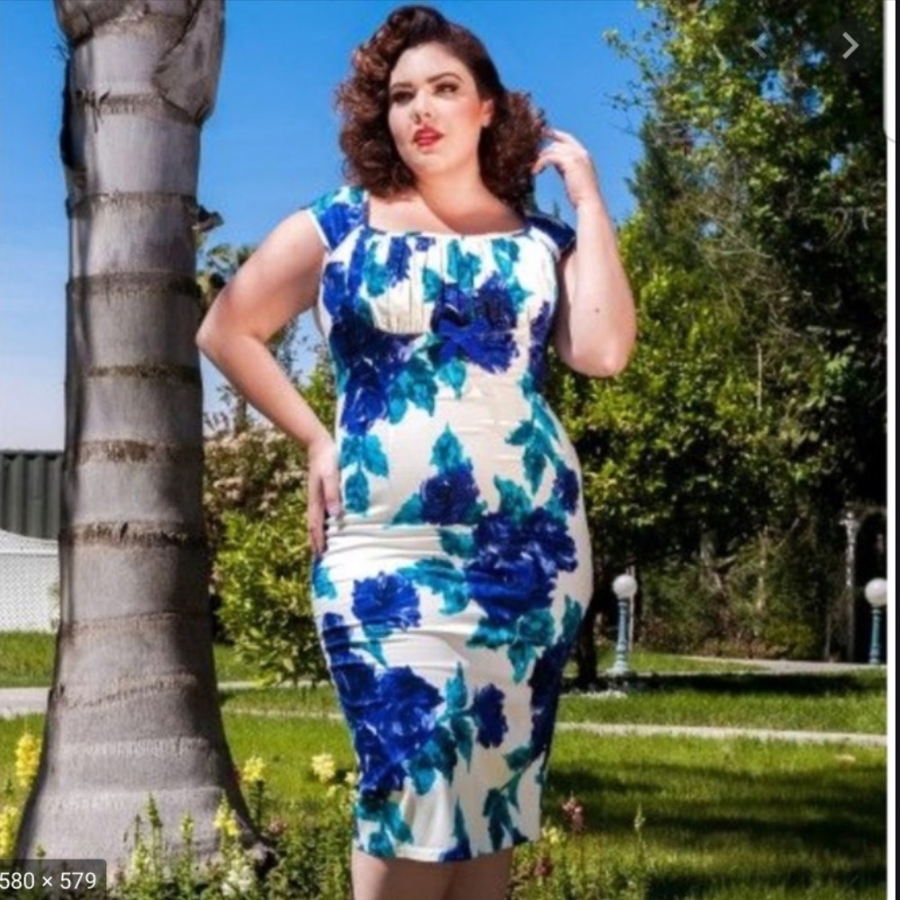 Pinup Girl  Blue Rose Erika Dress